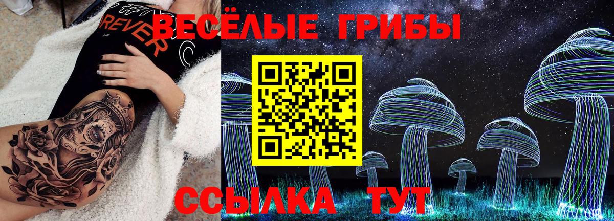 Галлюциногенные грибы Psilocybe  Галлюциногенные грибы мицелий  Среднеуральск  Вход с VPN 